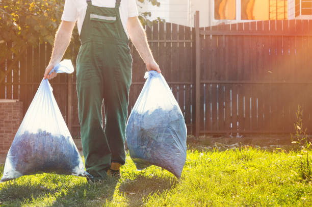 Best Electronics Removal Services  in Window Rock, AZ